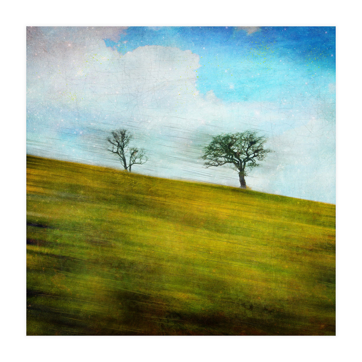 Uphill, Backwards (Print Only)