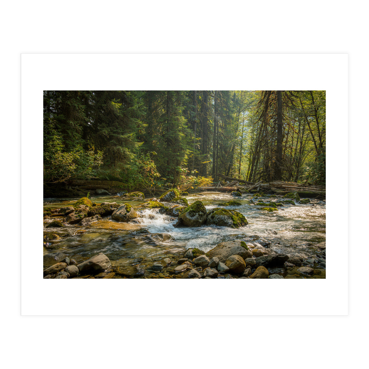 Cascade River (Print Only)