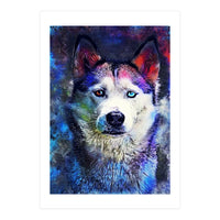 Dog Husky (Print Only)