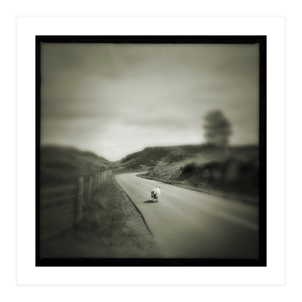 Gesto (Print Only)