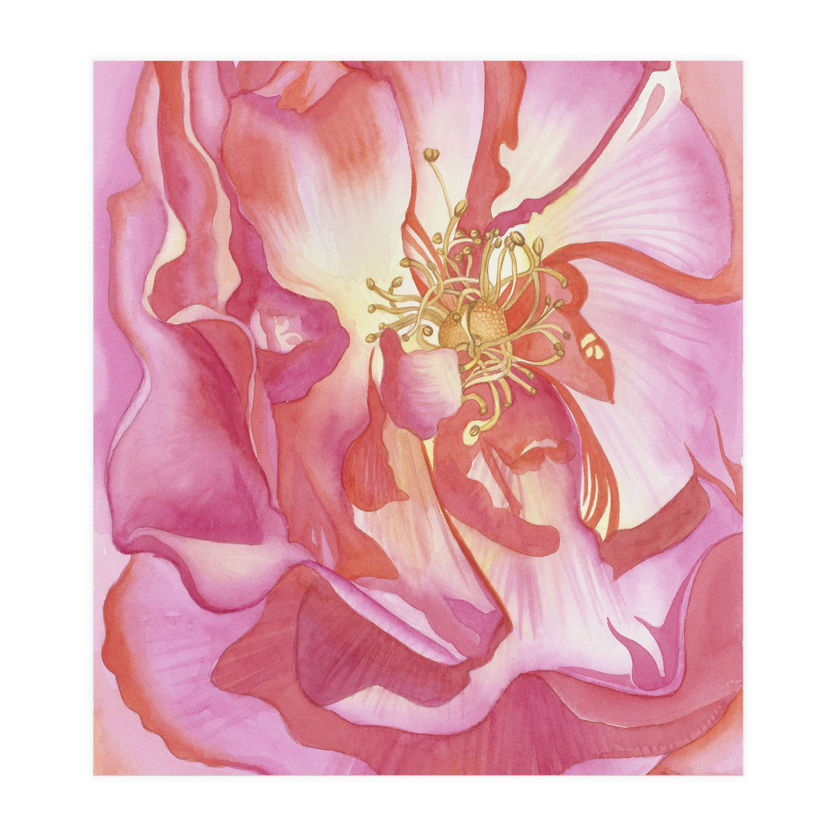 Love Is A Rose (Print Only)