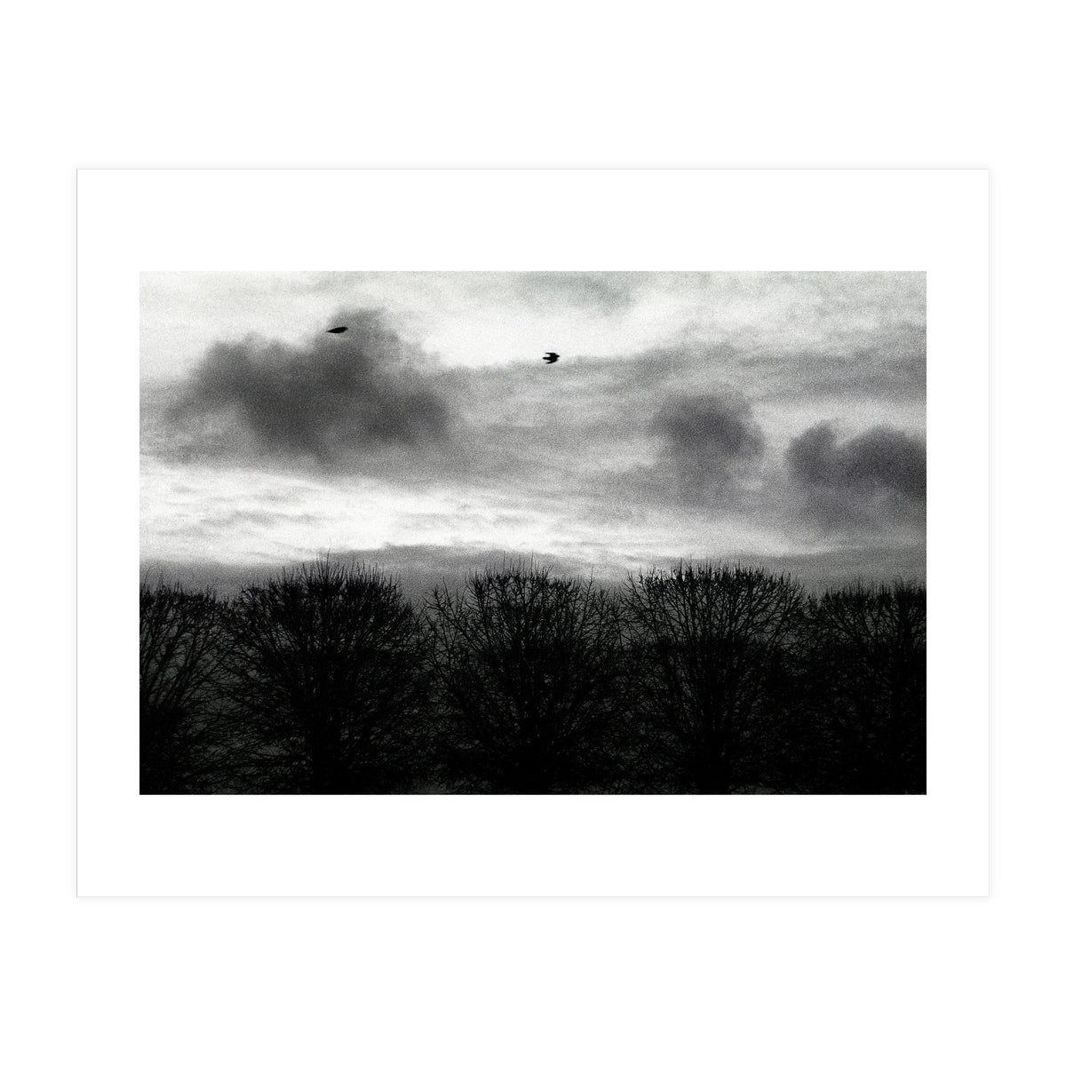 Winter mornig in Paris (Print Only)