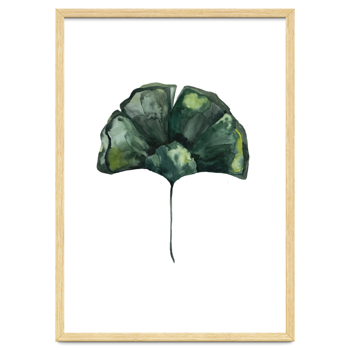 Botanical Illustration Ginko
