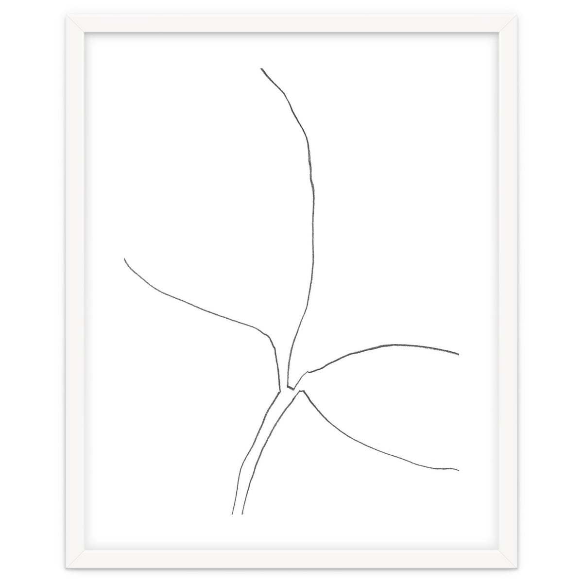 Seedling Leaning Right