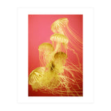Jelly #7  (Print Only) thumbnail