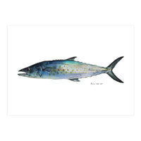 Fish Sierra (Print Only)