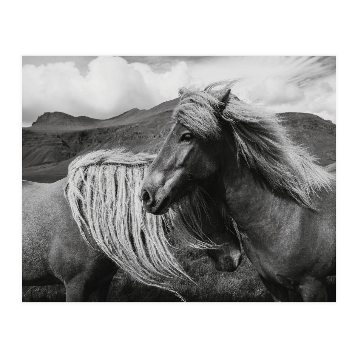 Horses In The Sky (Print Only)