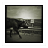 Struan Road (Print Only) thumbnail