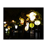 Lanterns (Print Only) thumbnail