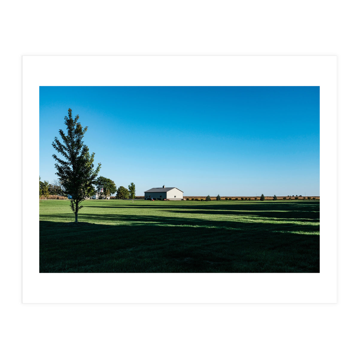 Summer evening, rural Illinois (Print Only)