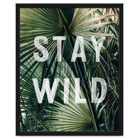 Stay Wild