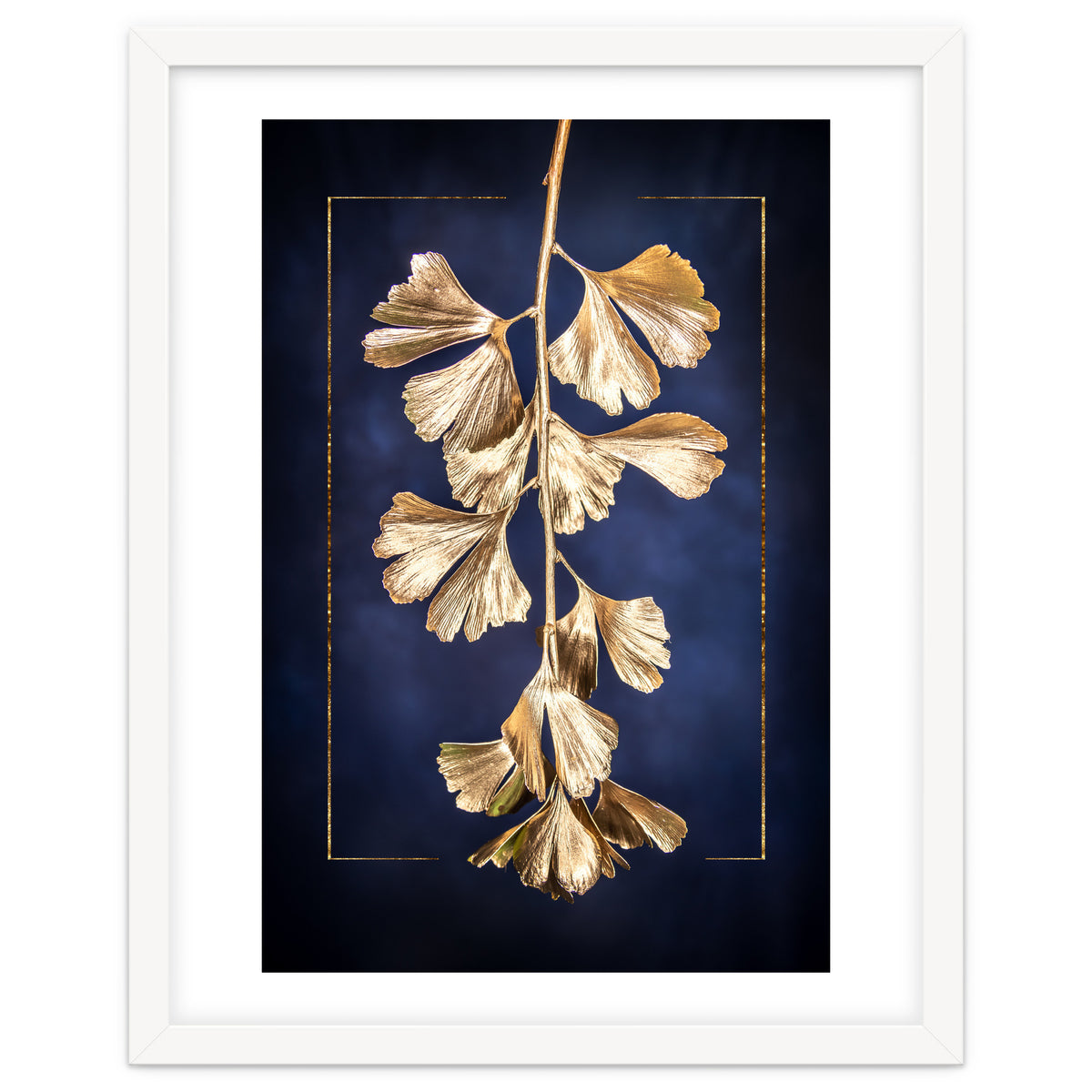 Golden Gingko Tree