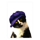 Cat Blue Hat (Print Only) thumbnail