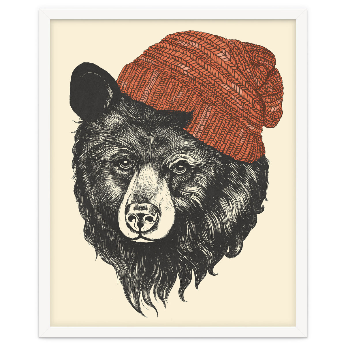 Zissou The Bear