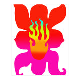 Fuego 114 Copia (Print Only) thumbnail