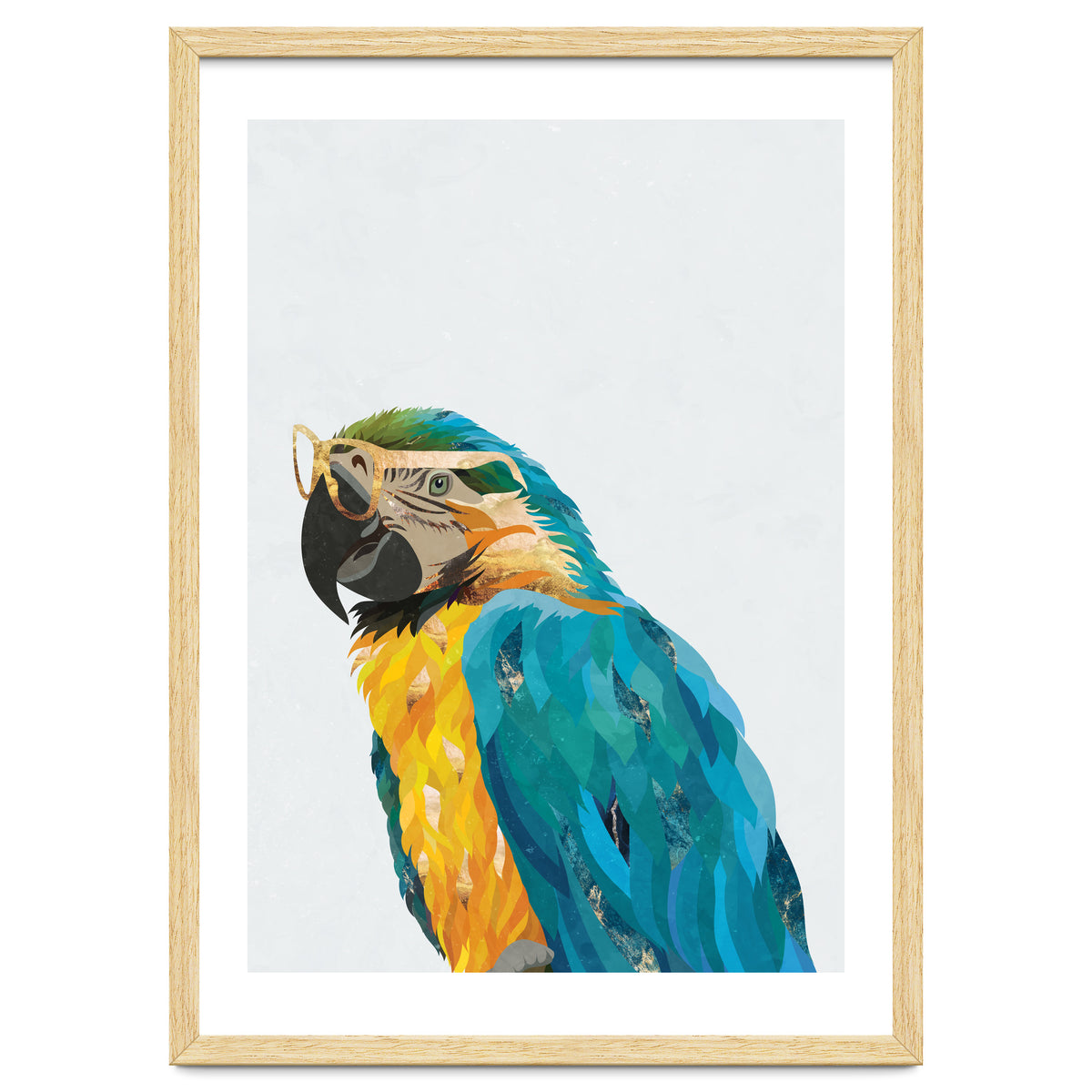 Macaw Portrait wearing gold glasses
