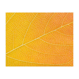 Autumn Leaf (Print Only) thumbnail