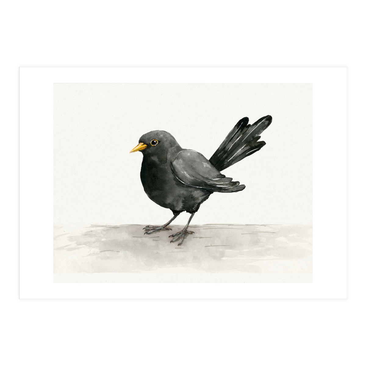Blackbird ink drawing (Print Only)
