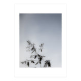 Forgotten Memories of Summer #17 (Print Only) thumbnail