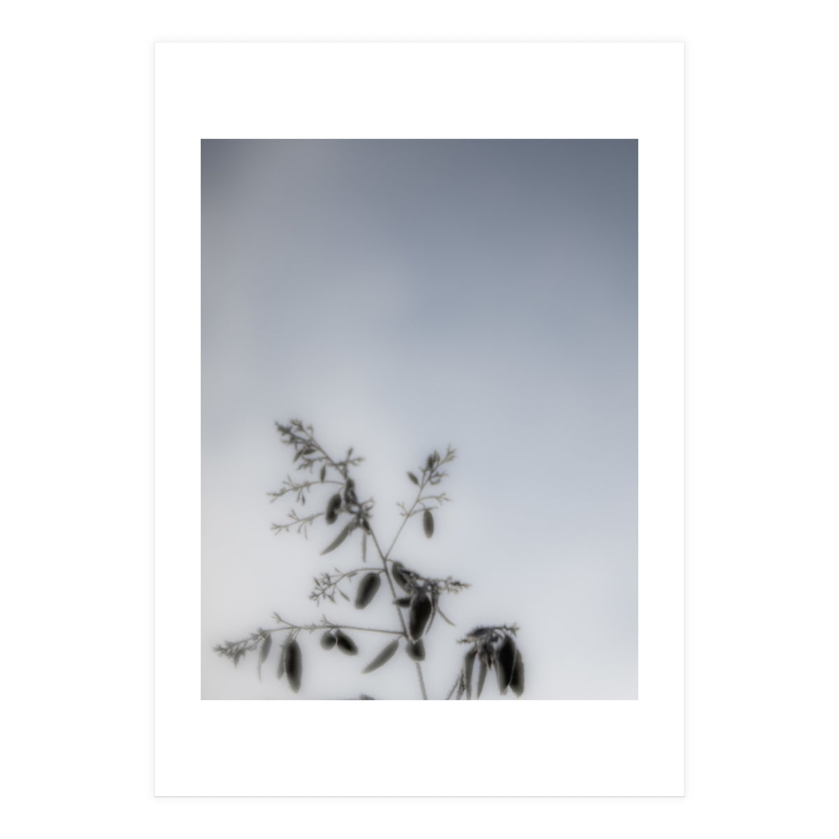 Forgotten Memories of Summer #17 (Print Only)