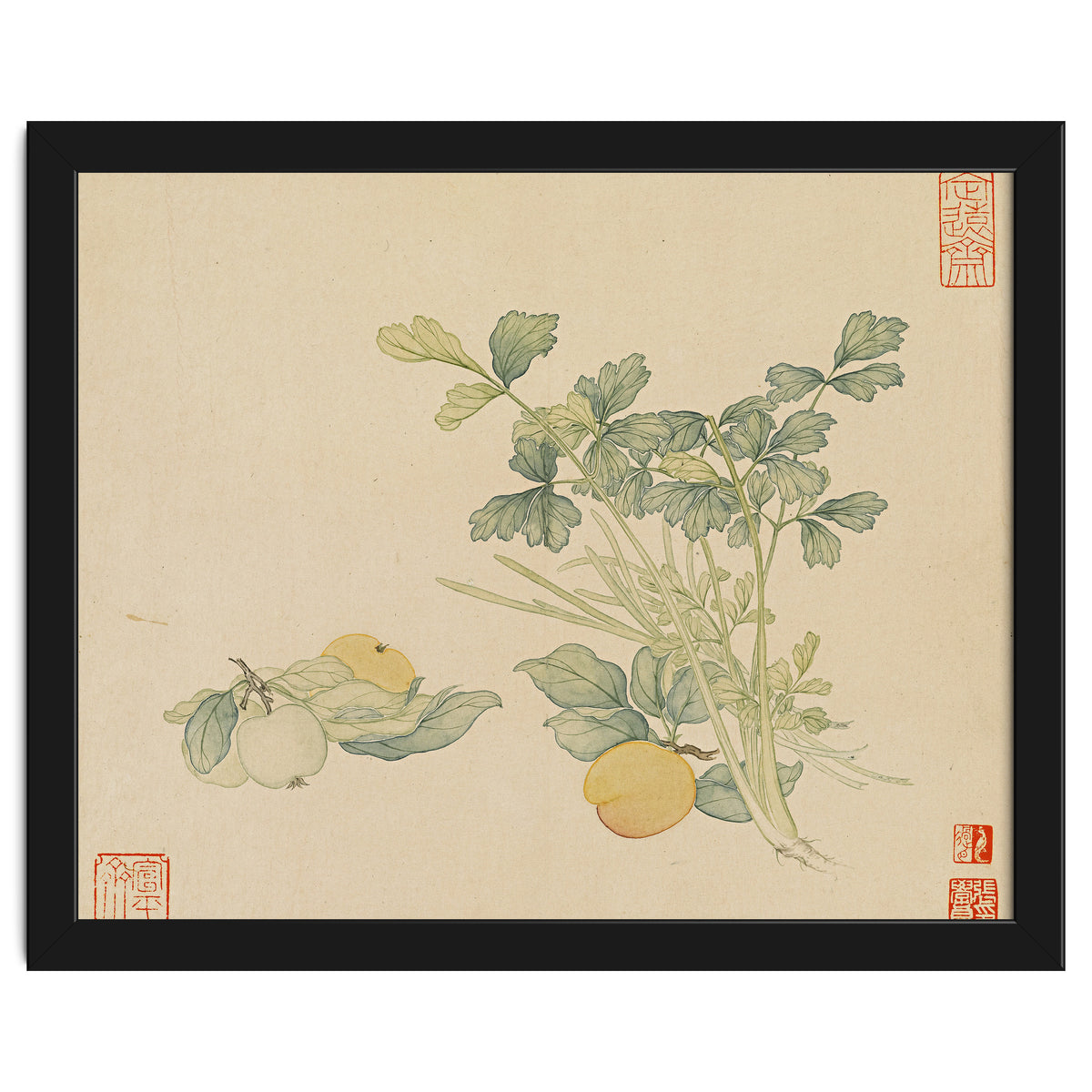 Wang Chengyu~flowers And Vegetables, Vegetables, Fruits, Plums, Apricots, Celery