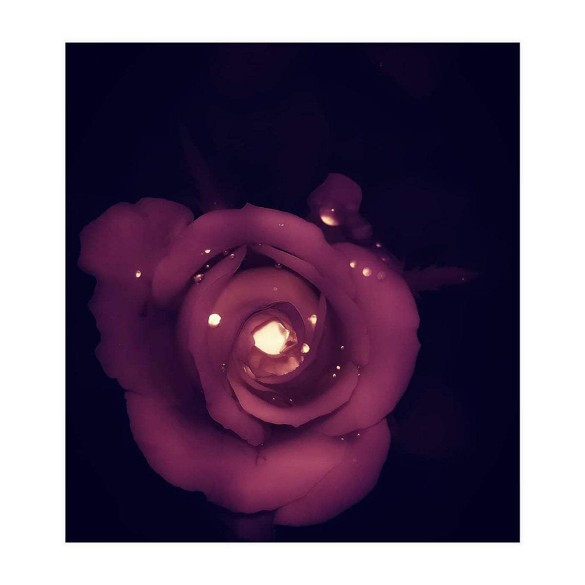 Red Sparkling Rose (Print Only)