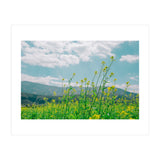Flowers (Print Only) thumbnail