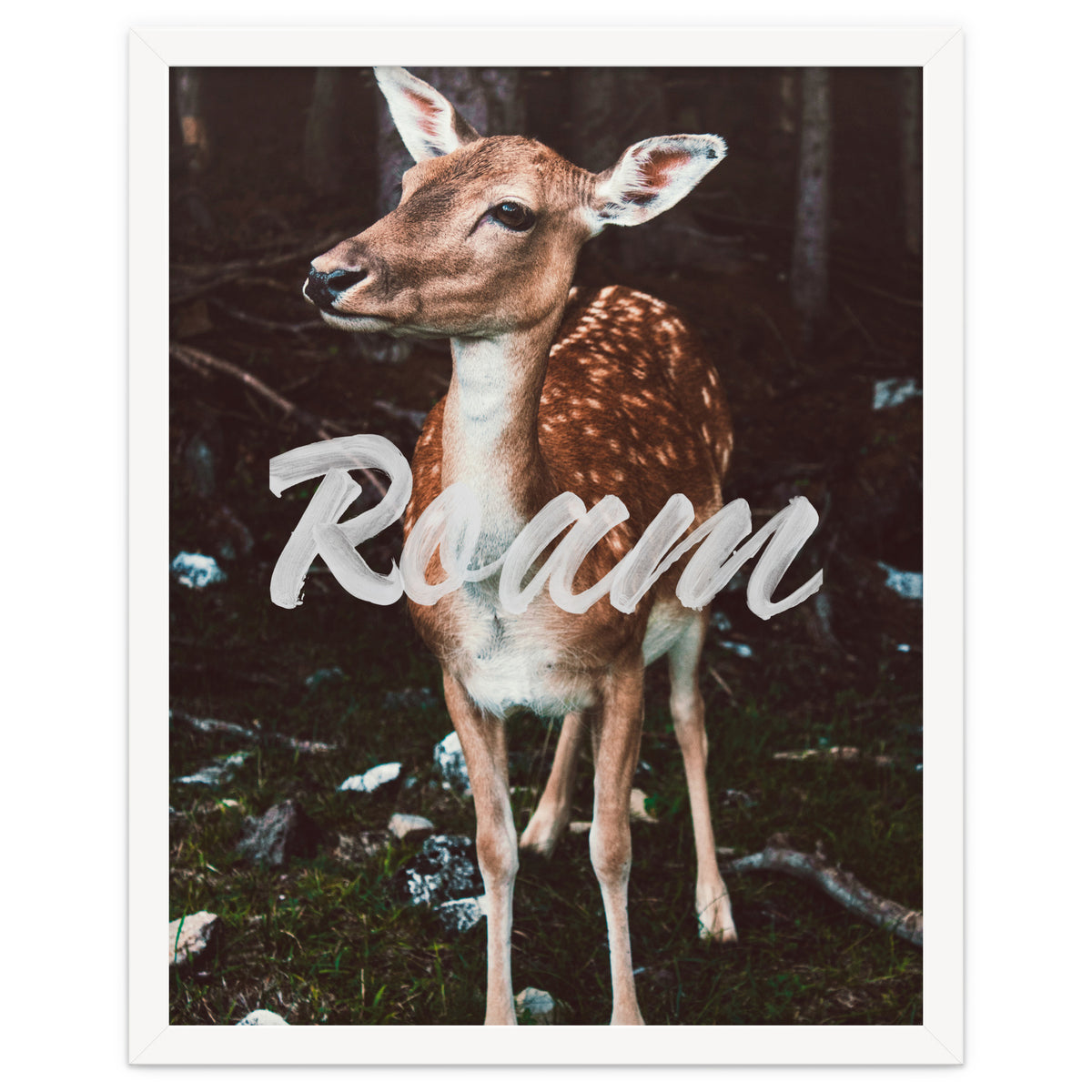 Roam