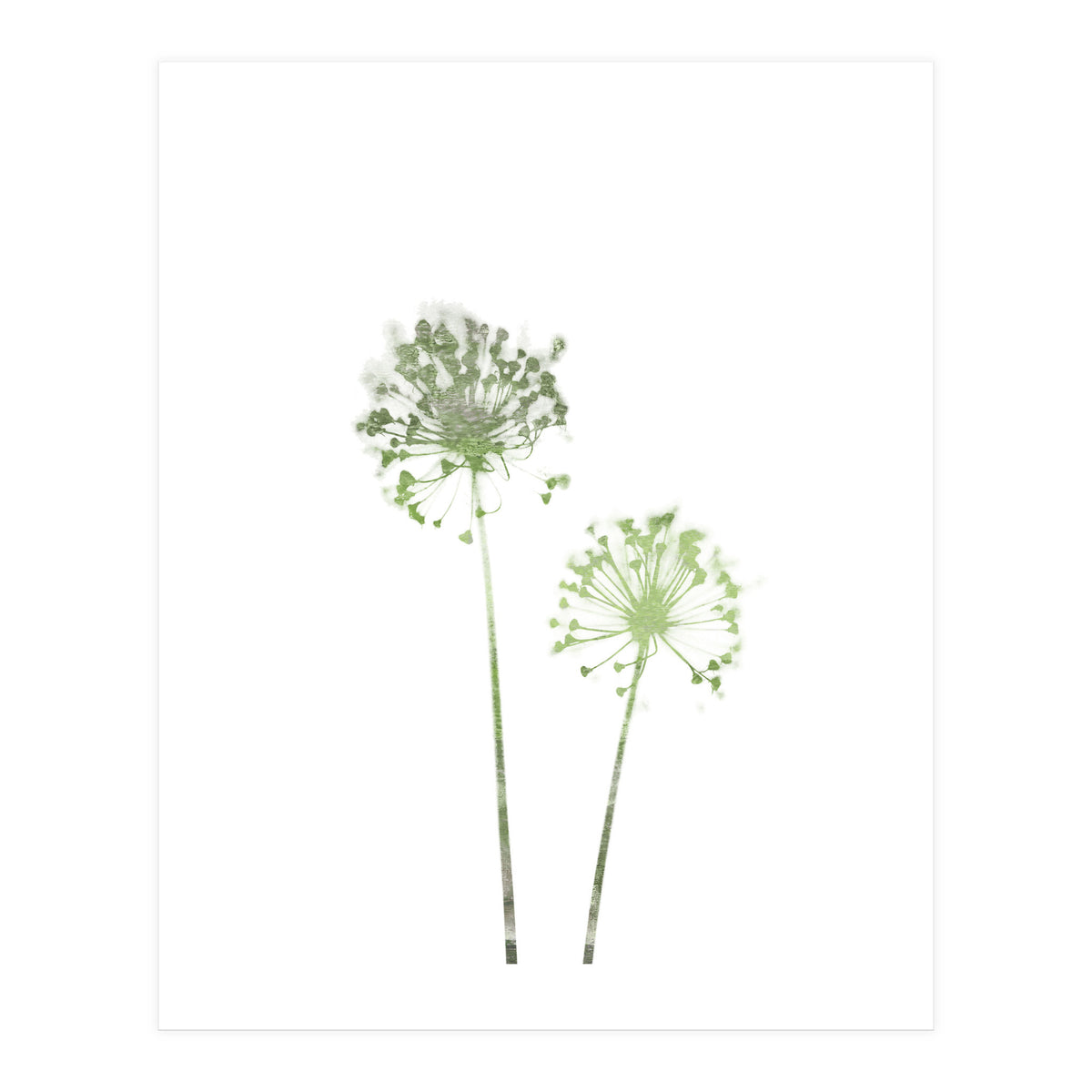 Olive Green Dandelion (Print Only)