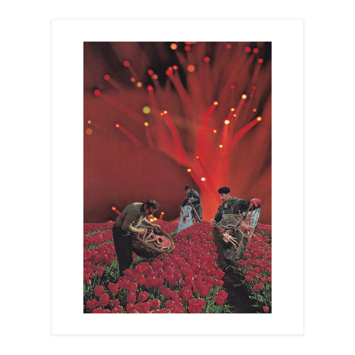 Red King Crab (Print Only)