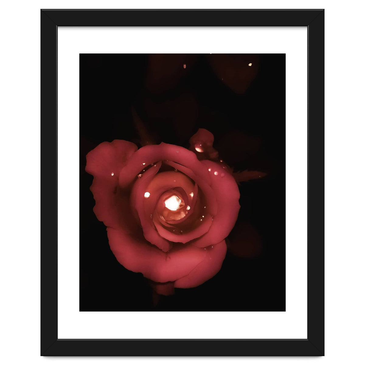 Lighting Rose