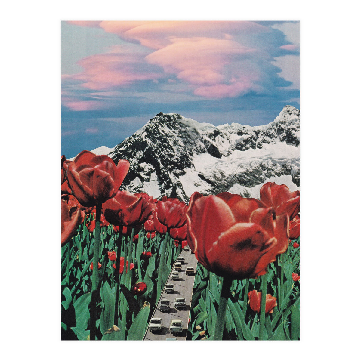 Tulip Road (Print Only)