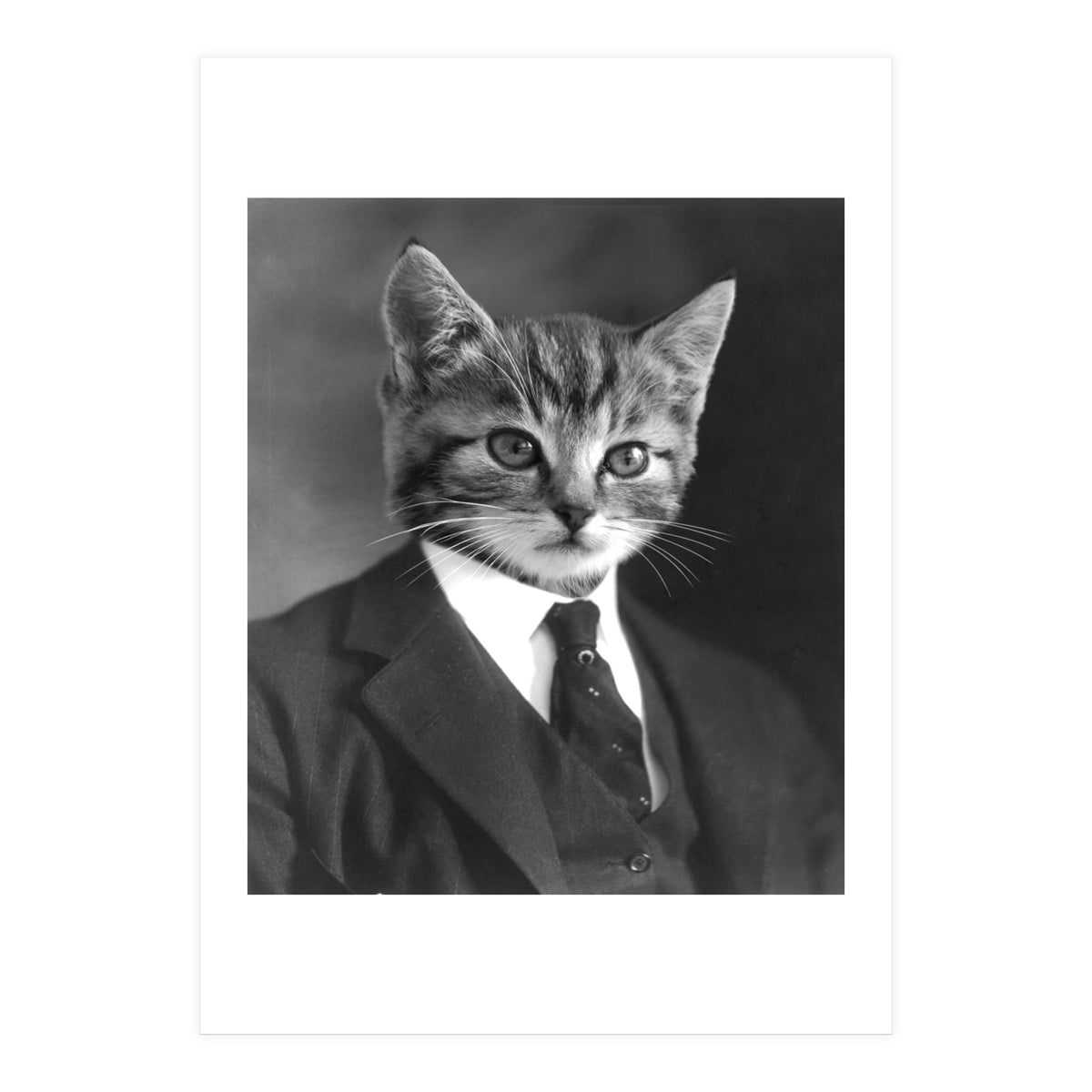 Gentleman Cat (Print Only)