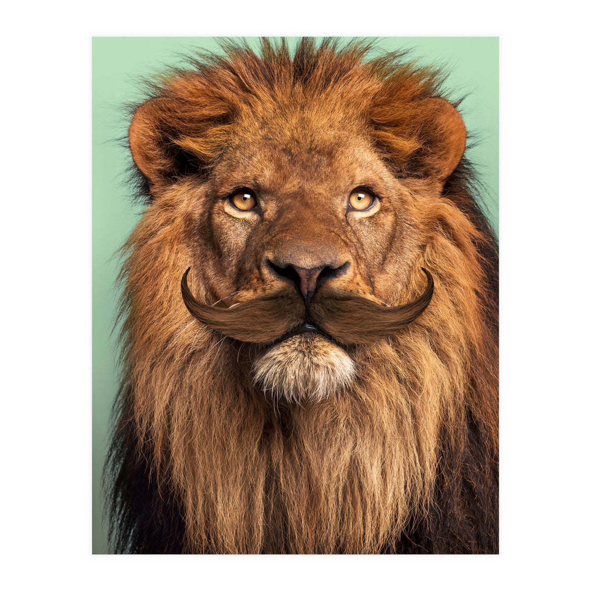 Bearded Lion (Print Only)