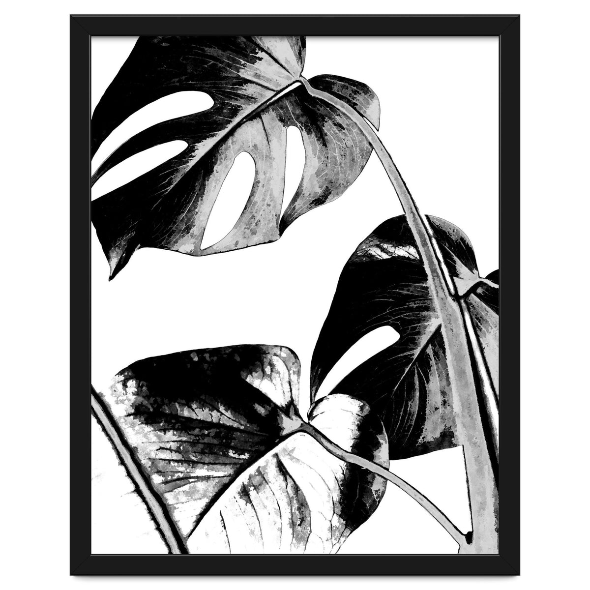 Black Tropical Leaves
