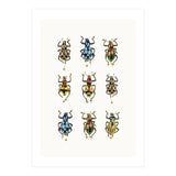 Cc Insects 05 (Print Only) thumbnail