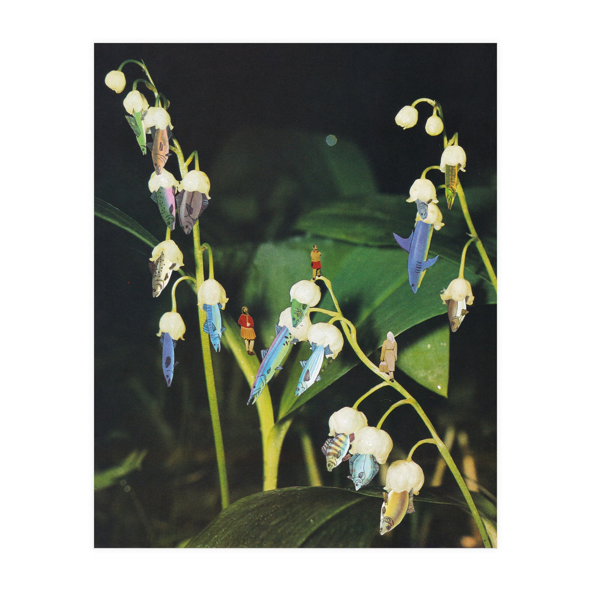 Fishflower (Print Only)