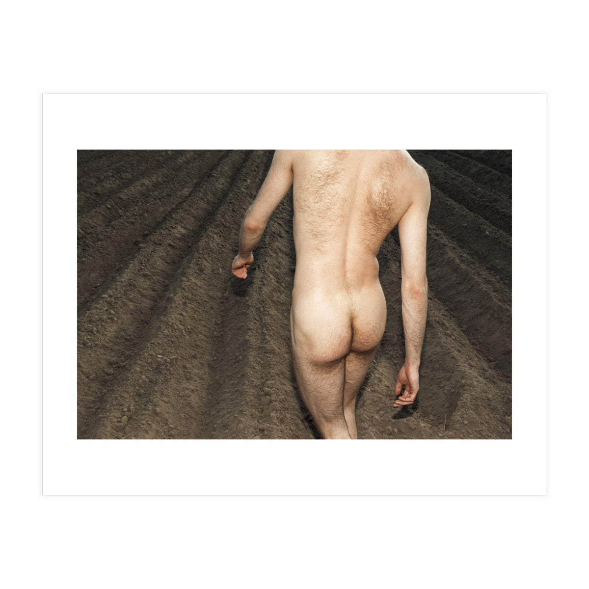 Hairy Joe (Print Only)