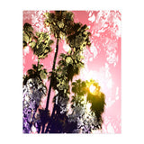 Snake sunset in paradise  (Print Only) thumbnail