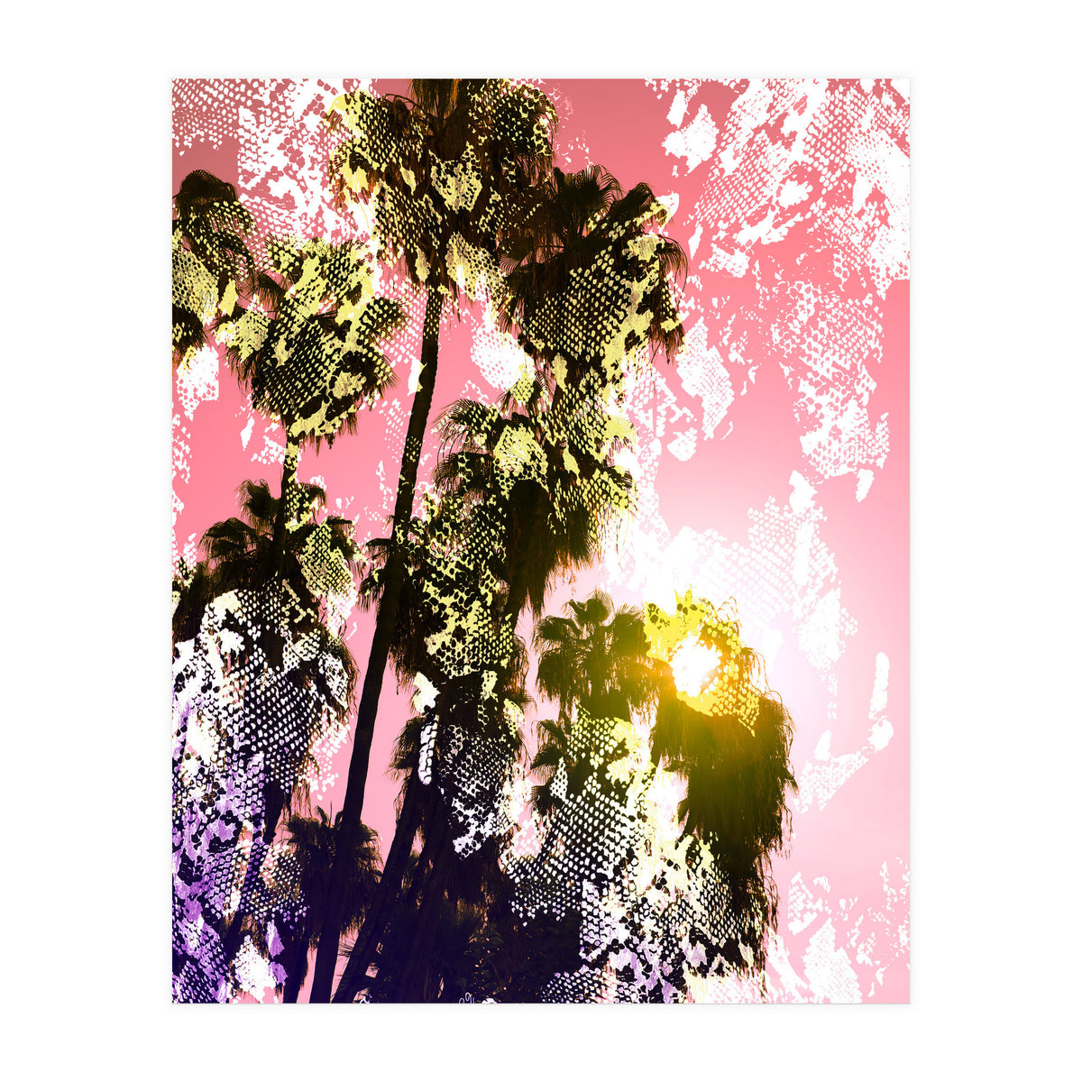 Snake sunset in paradise  (Print Only)