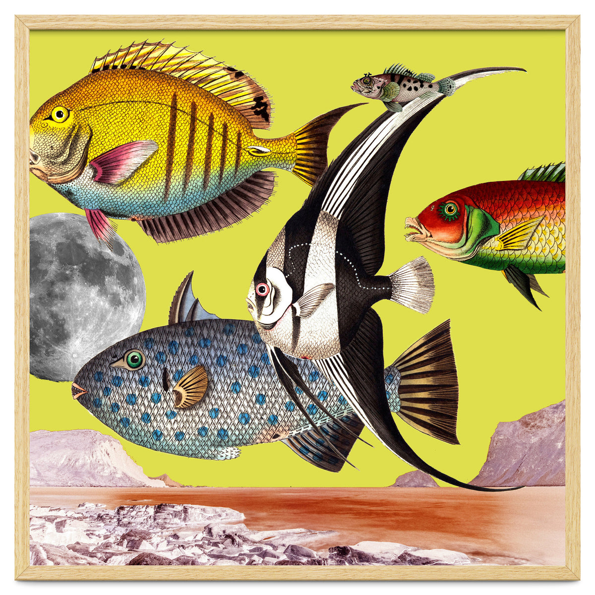 Plenty Of Fish In The Sea Yellow