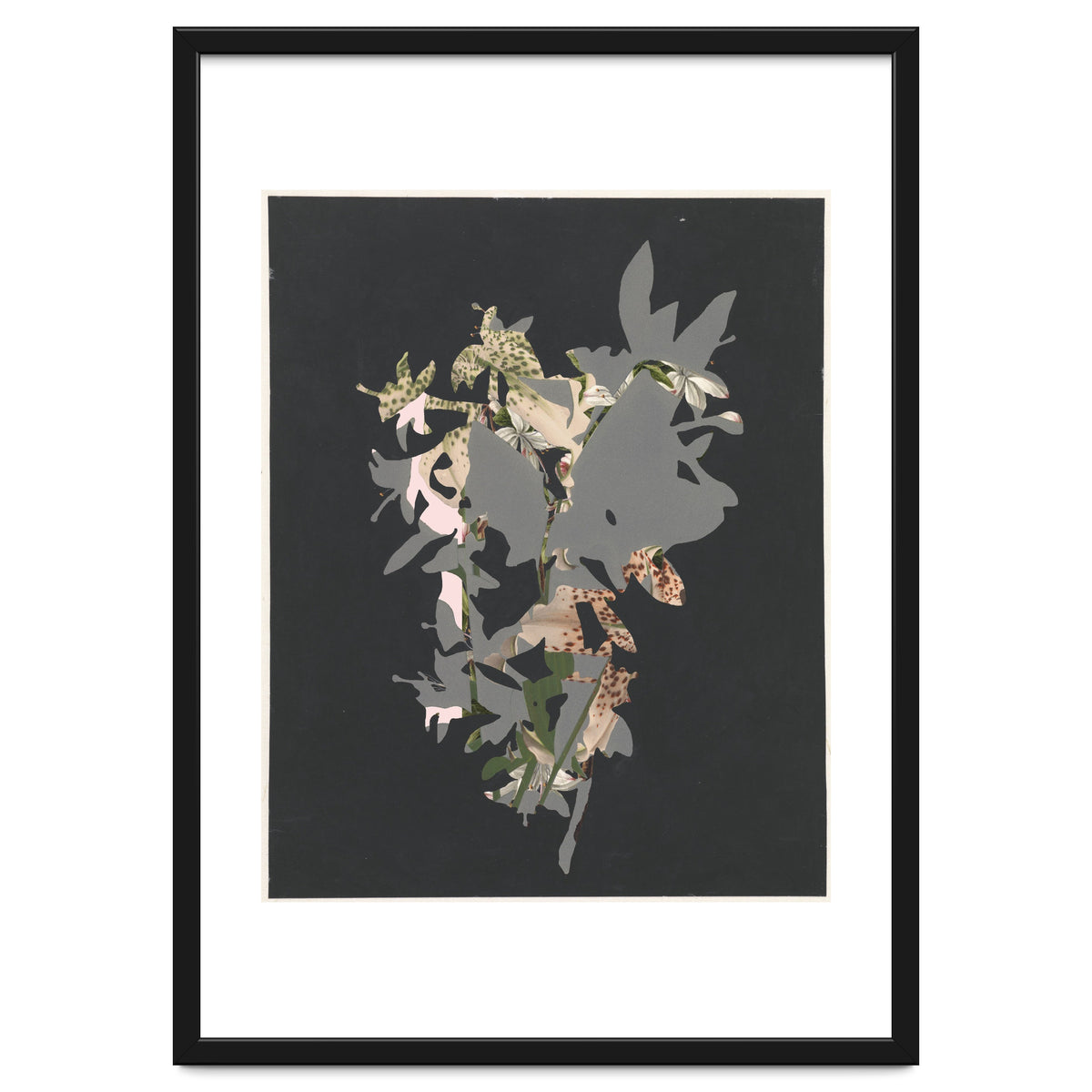 The First Plant · Black