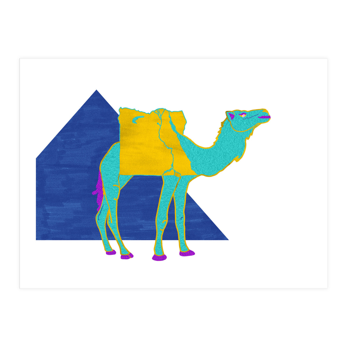 Egyptian Dromedary (Print Only)