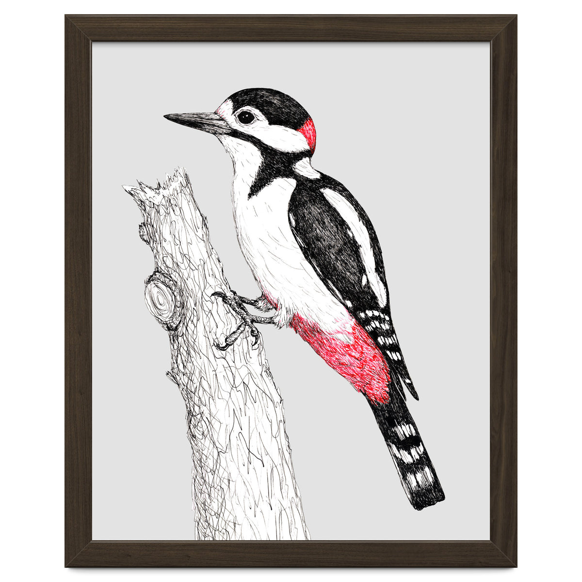 Great spotted woodpecker
