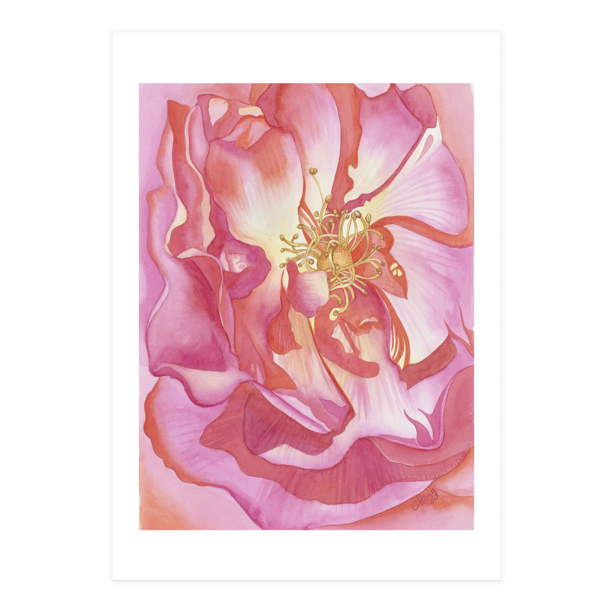 Love Is A Rose (Print Only)