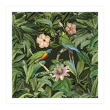 Exotic Jungle Birds (Print Only) thumbnail