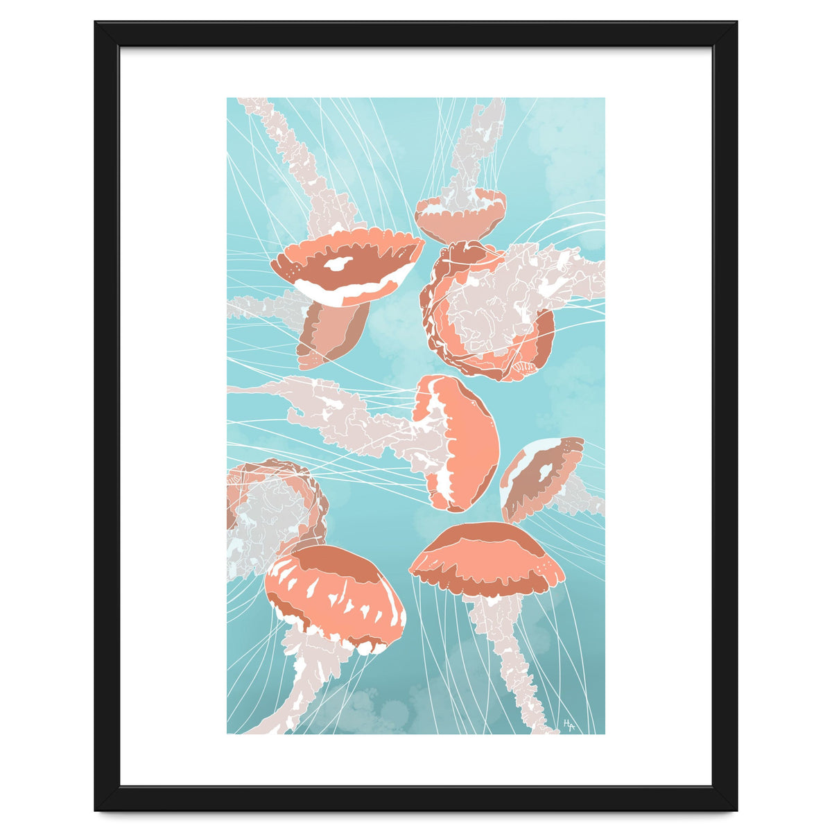 Jellyfish