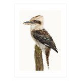 Cc Birds 08 (Print Only) thumbnail