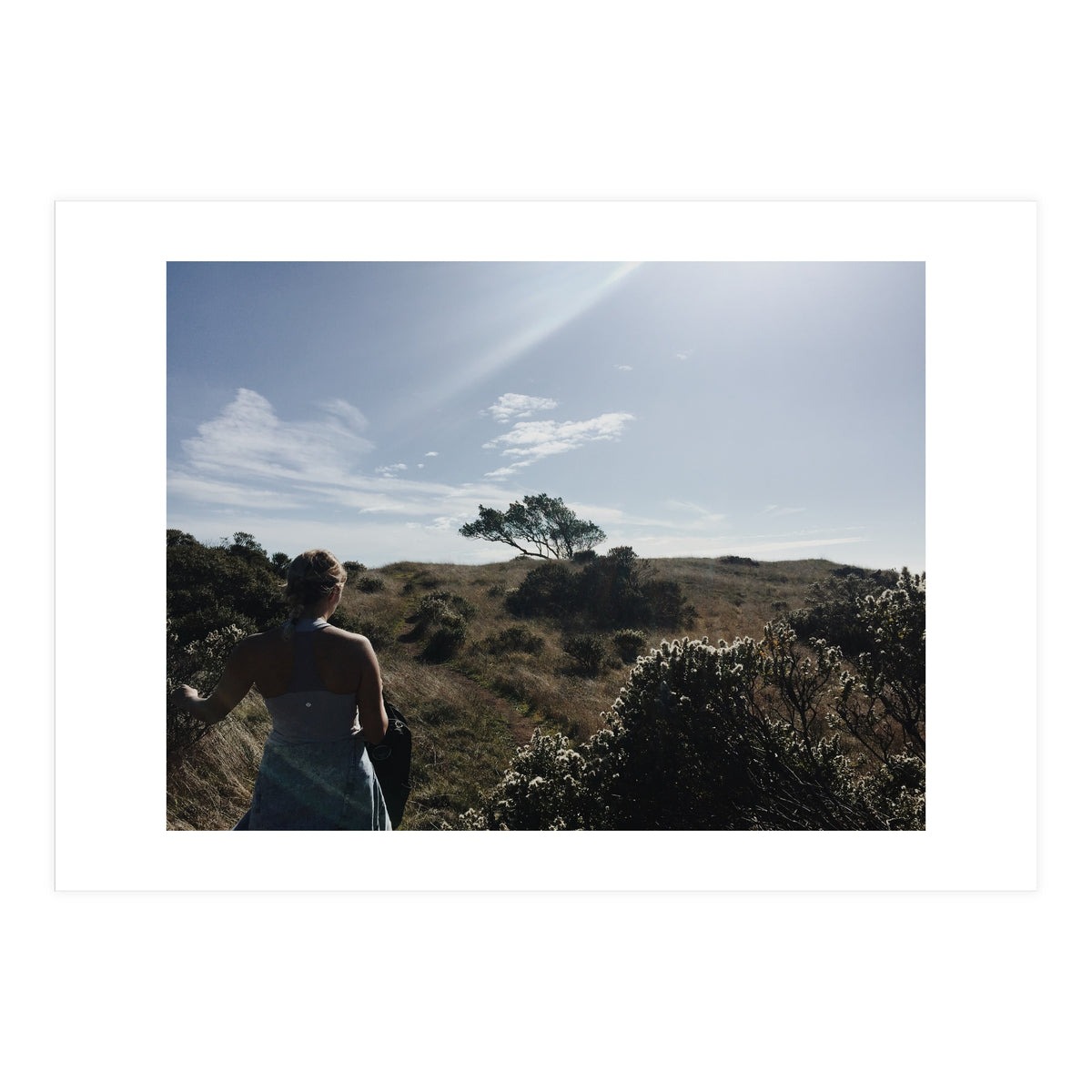 Mt. Tamalpais (Print Only)