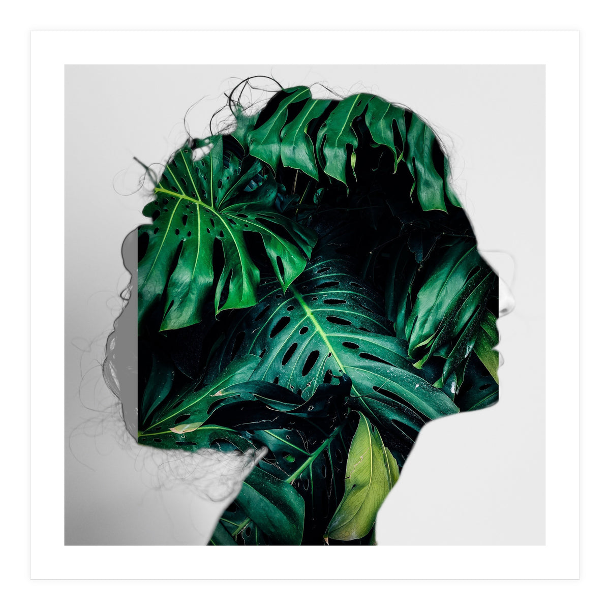 Crazy Woman 208 (Print Only)